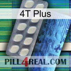 4T Plus 34